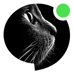 Profile Avatar 2